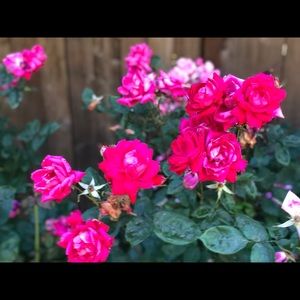 Meet your Posher, Marta